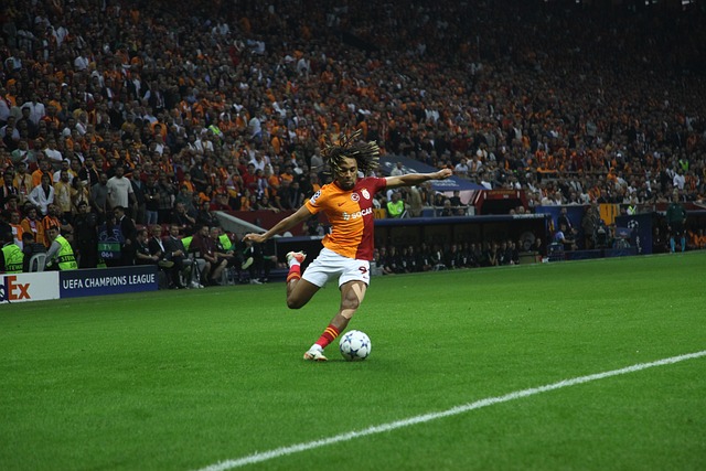 術的完美展 術的完美展