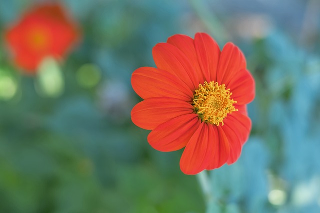 但卡塔尔队 但卡塔尔队