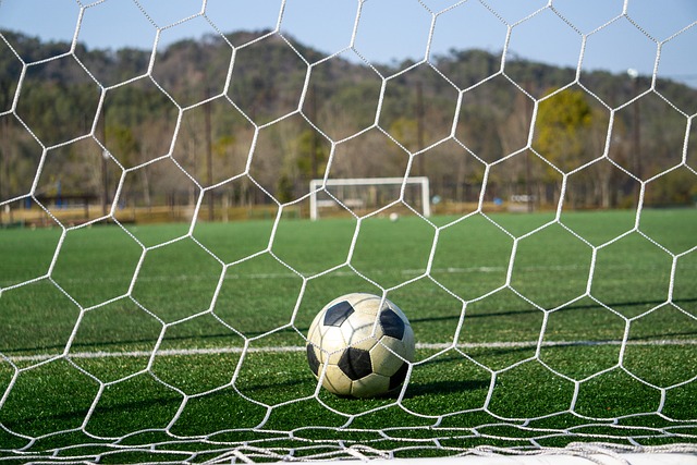 輕球員學習 輕球員學習