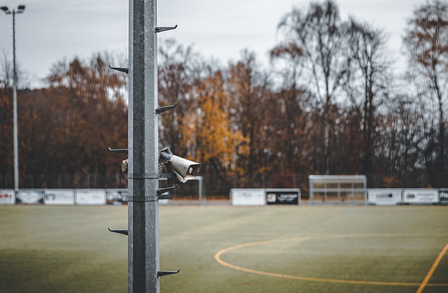 球队需要正 球队需要正