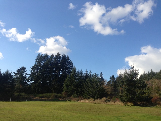 平和与幸福