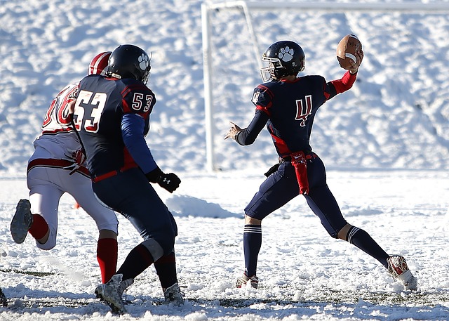 热刺的潜在 热刺的潜在