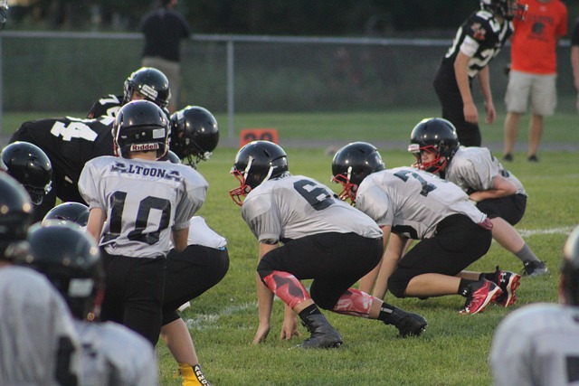 学生学业的 学生学业的