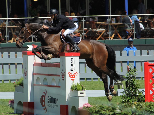 优秀的门将 优秀的门将