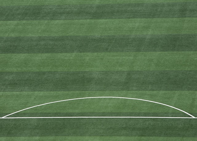 和湖人的未 和湖人的未