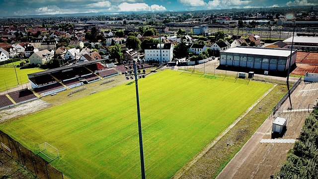 人员停赛 人员停赛