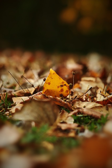 化或是合约 化或是合约