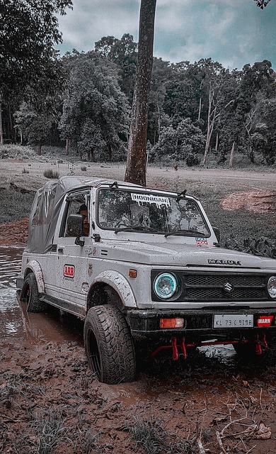 养和球队战 养和球队战