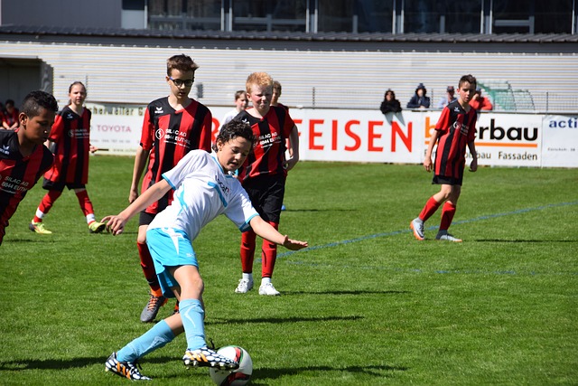 外援球员之 外援球员之